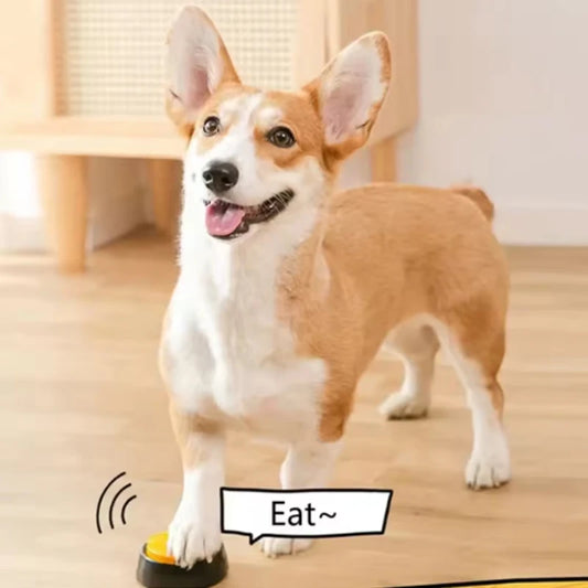 Recordable Talking Pet Buttons
