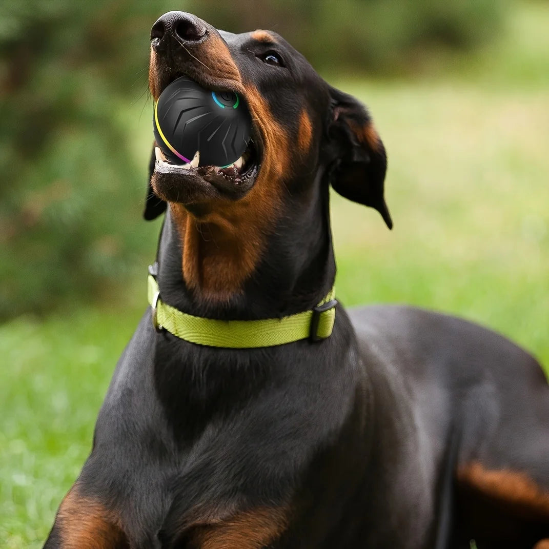 Interactive Rolling Light-Up Dog Toy