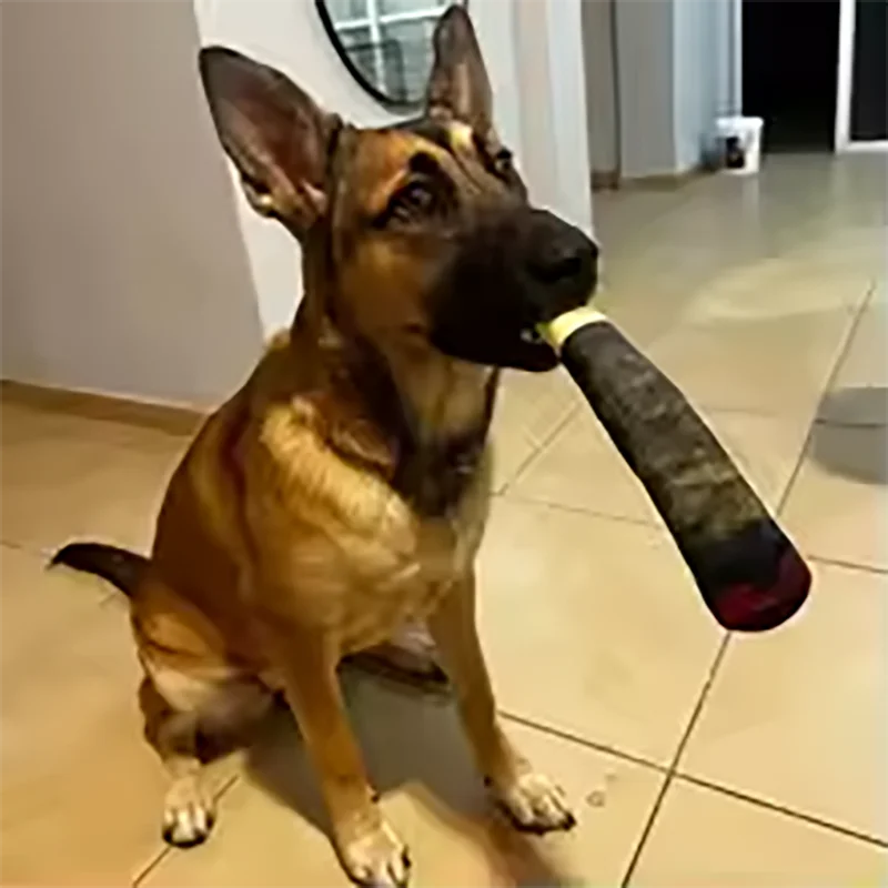 Cigar Squeaky Plush Dog Toy