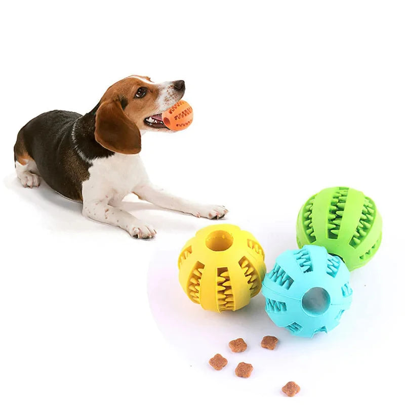 Treat Feeder Chew Ball