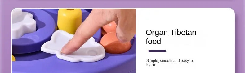 IQ Puzzle Food Feeder Toy