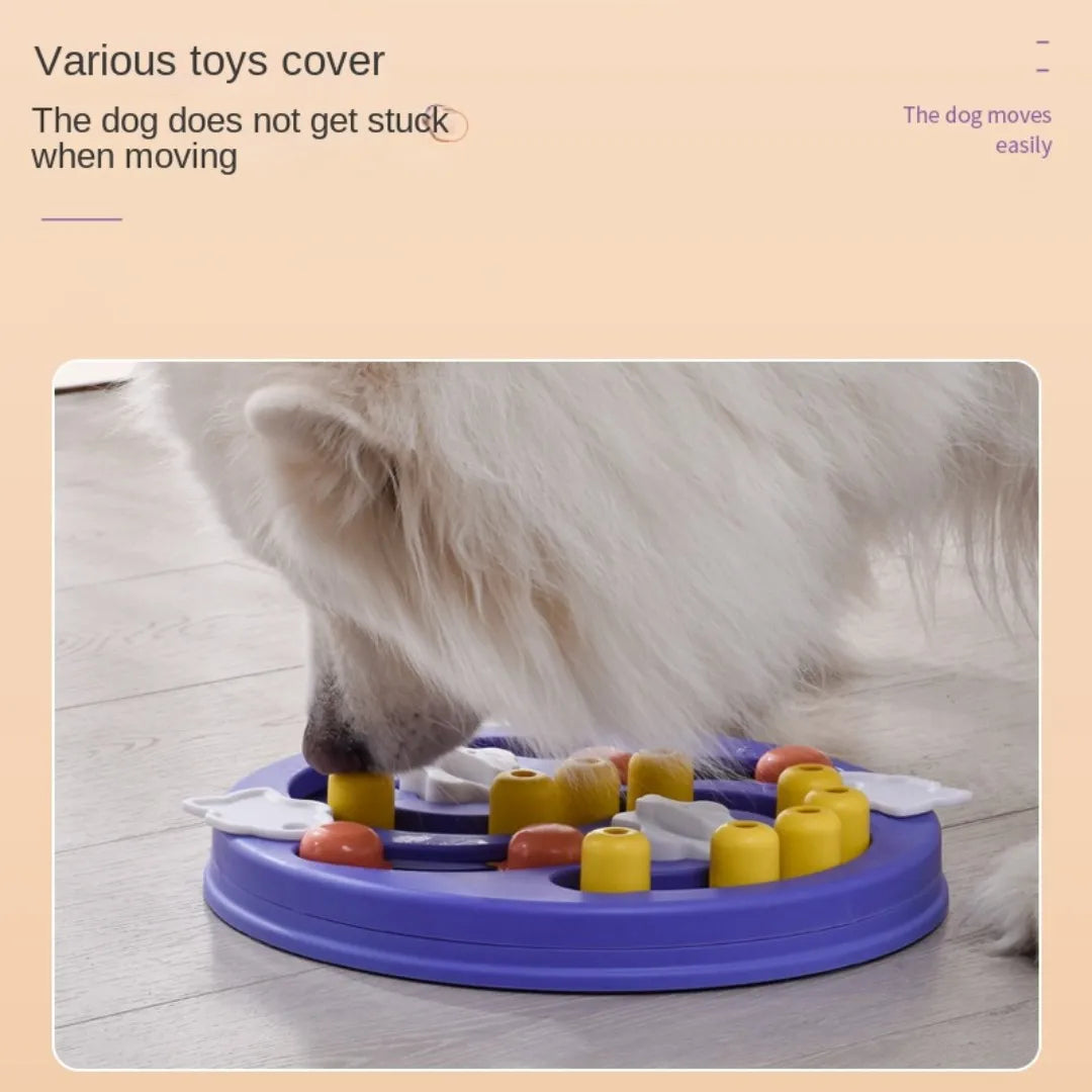 IQ Puzzle Food Feeder Toy