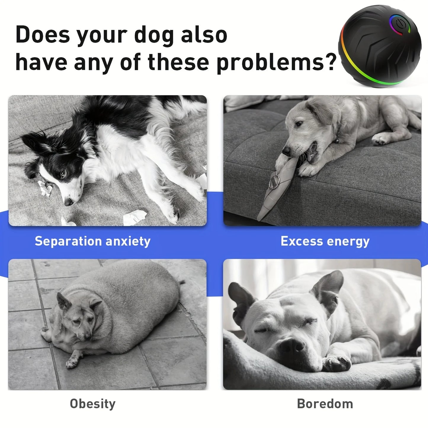 Interactive Rolling Light-Up Dog Toy