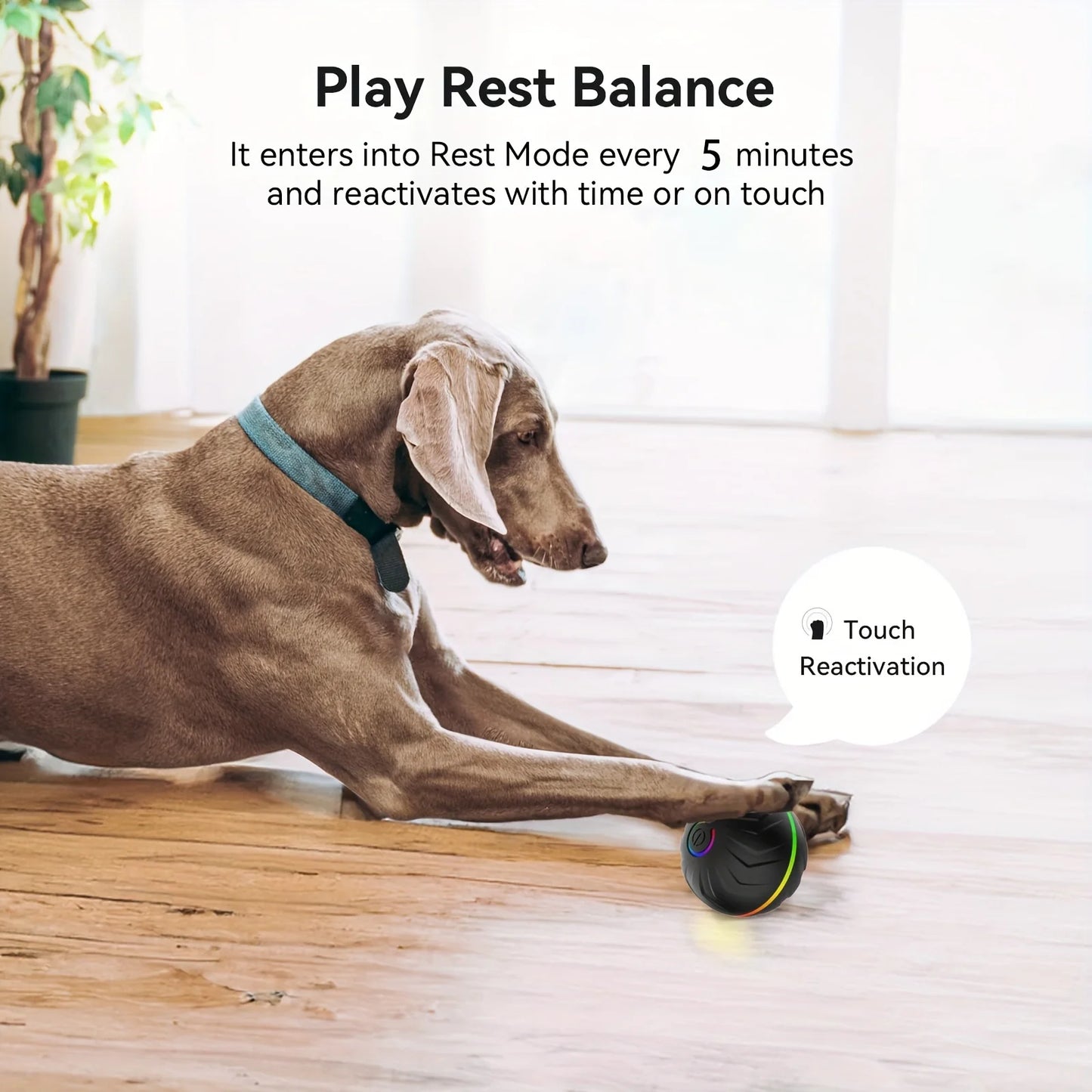 Interactive Rolling Light-Up Dog Toy