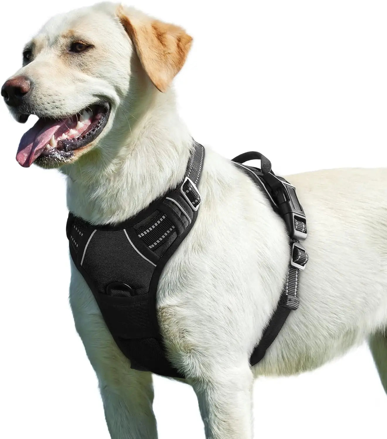 No-Pull Dog Harness